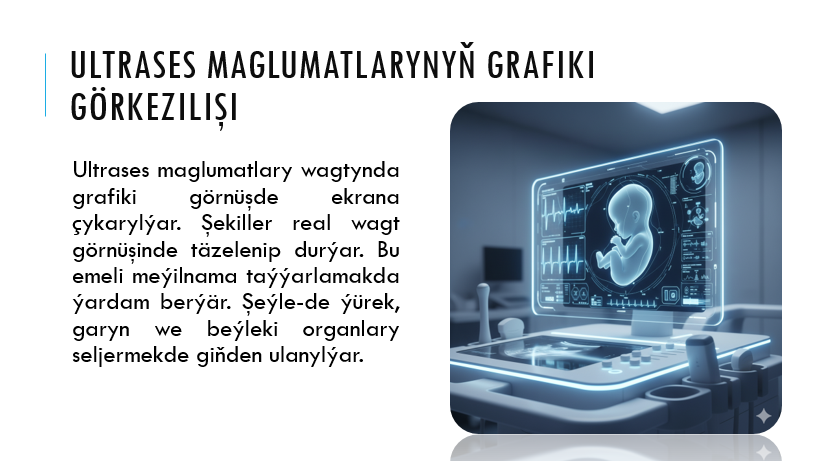Lukmançylyk multimedia ulgamlarda kompýuter grafikasyny ulanmak